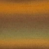 Viking Nordlys